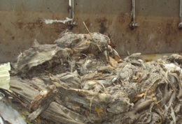 wipes clogging a water treatment plant screen