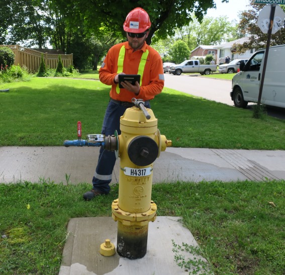 A summer student uses a tablet to record information about a fire hydrant