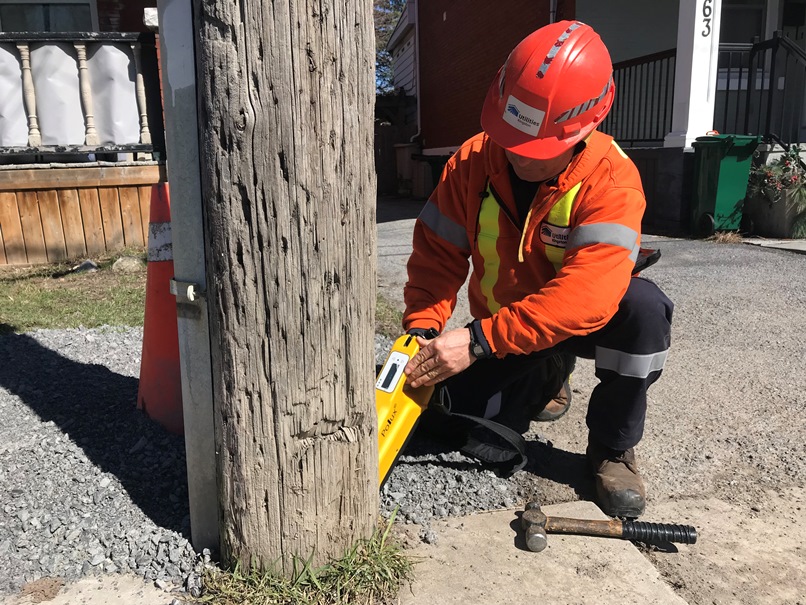 A Utilities Kingston employees inspects a hydro pole.