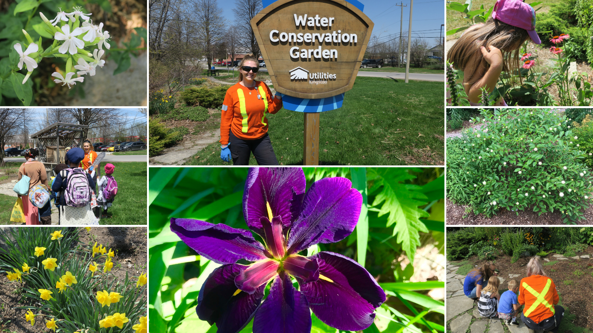 A collage of people and flowers in the water conservation garden.