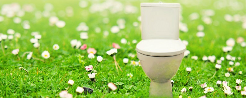 Toilet in green field