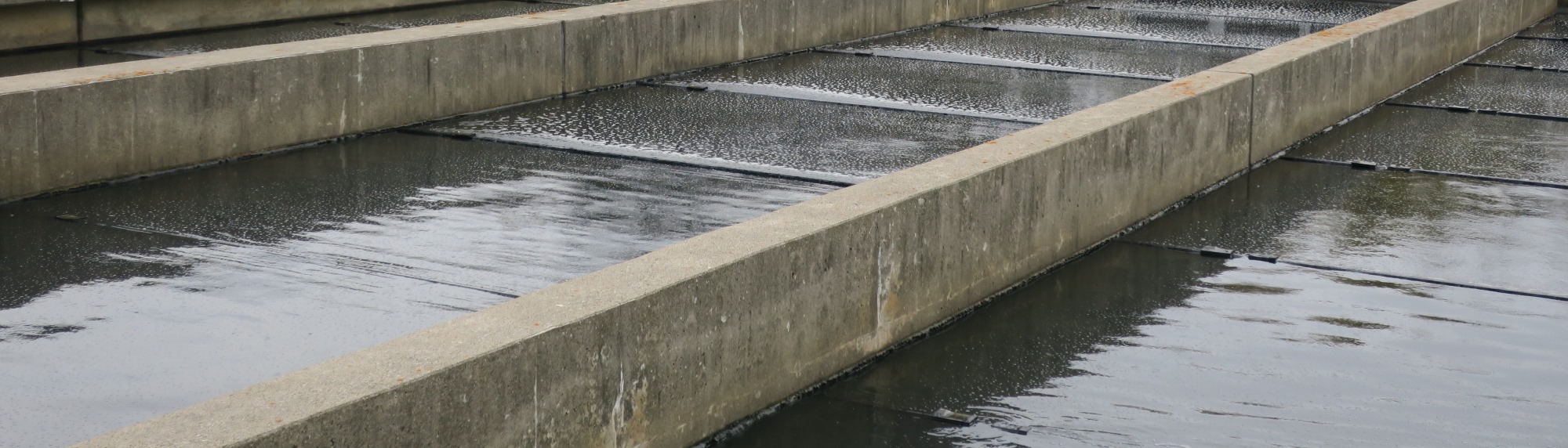 Wastewater reports