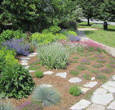 Free Tours and Children’s Activities in the Water Conservation Garden