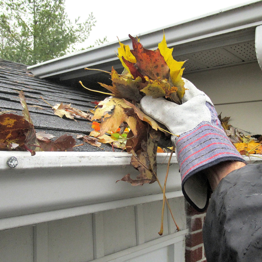 Prevent basement flooding: essential tips to protect your home 