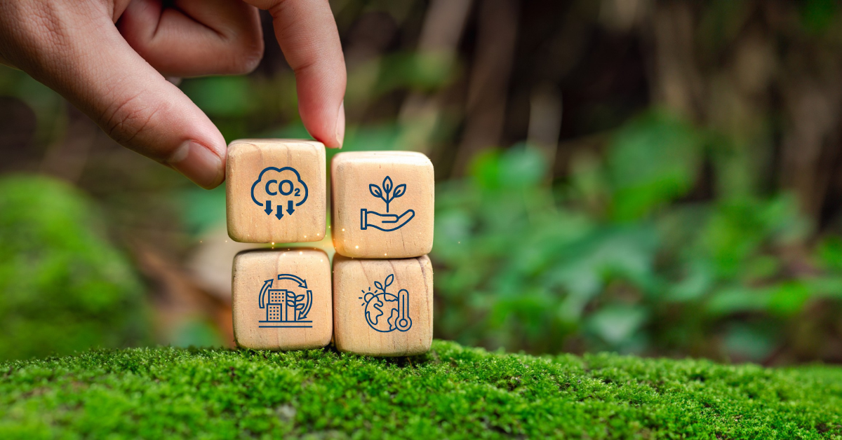 A hand stacking four wooden blocks on a mossy surface, each with symbols representing climate action. The setting includes a blurred green forest background.