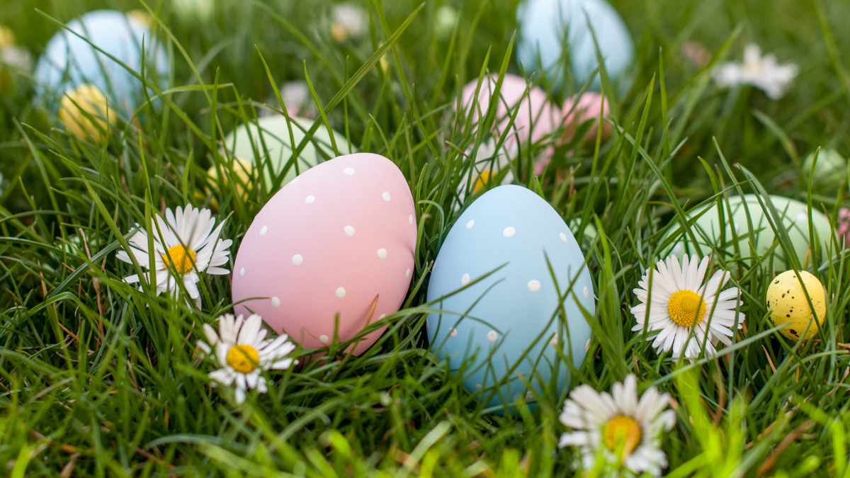 Wishing Kingston a safe and healthy Easter weekend Utilities Kingston