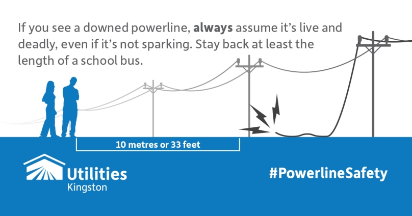 If you see a downed powerline, always assume it's live and deadly, even if it's not sparking. Stay back at least the length of a school bus