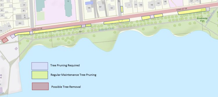 A map of the tree pruning area