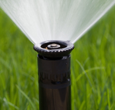 Watering restrictions to be put in place