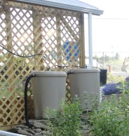 Get Your Rain Barrel Before They’re Gone!
