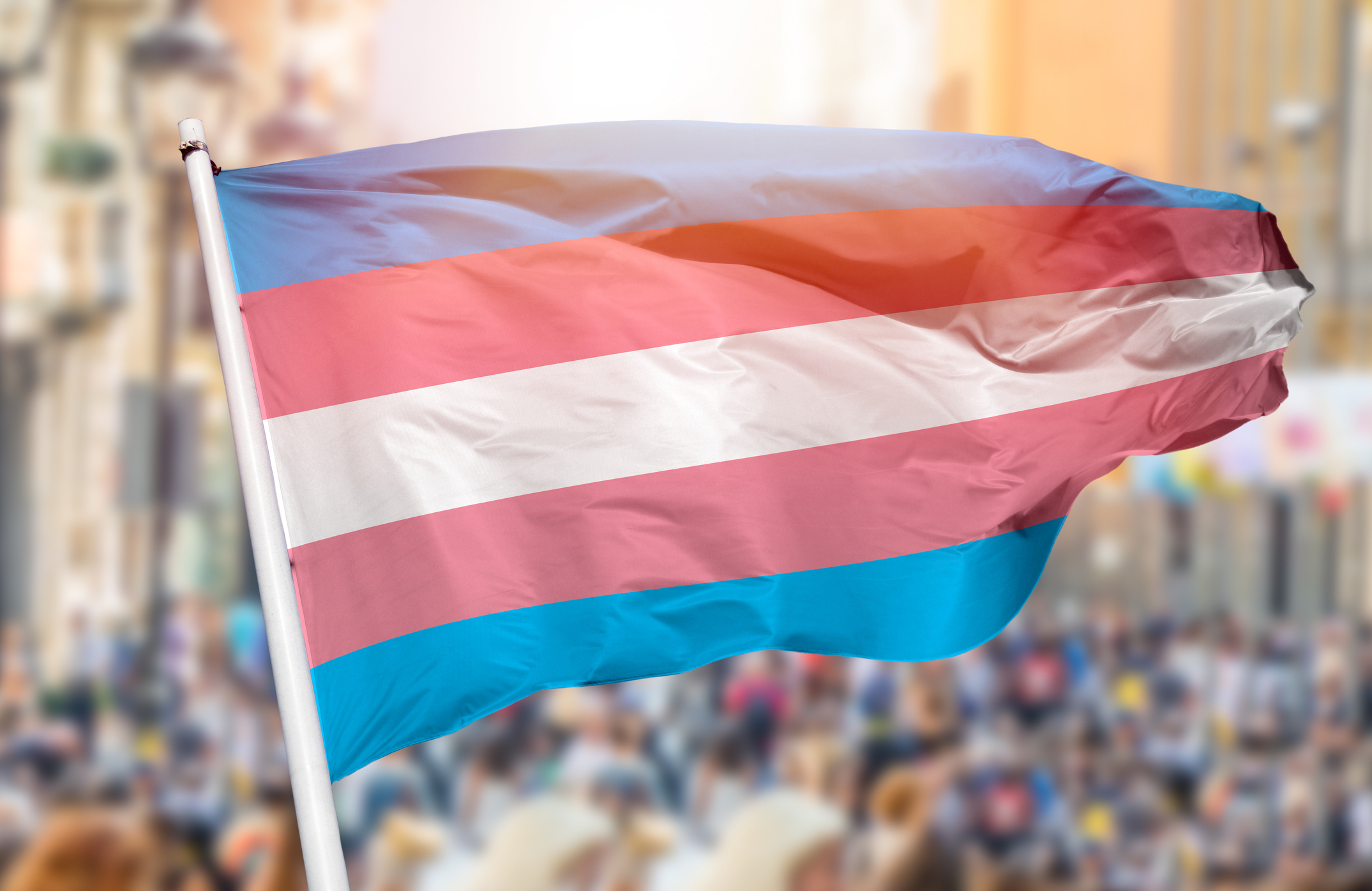 Transgender Day of Visibility is March 31