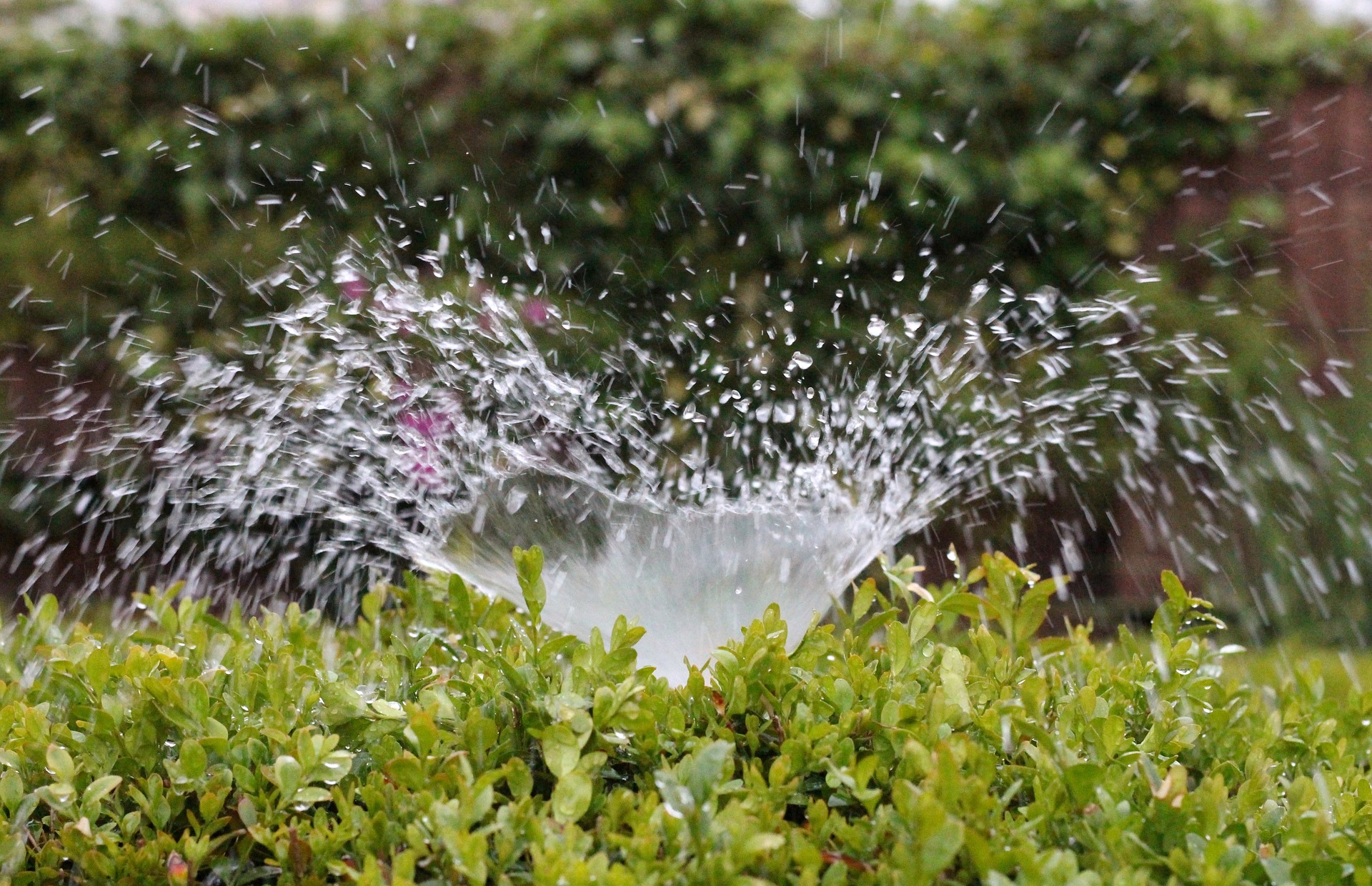 Watering restrictions begin June 15