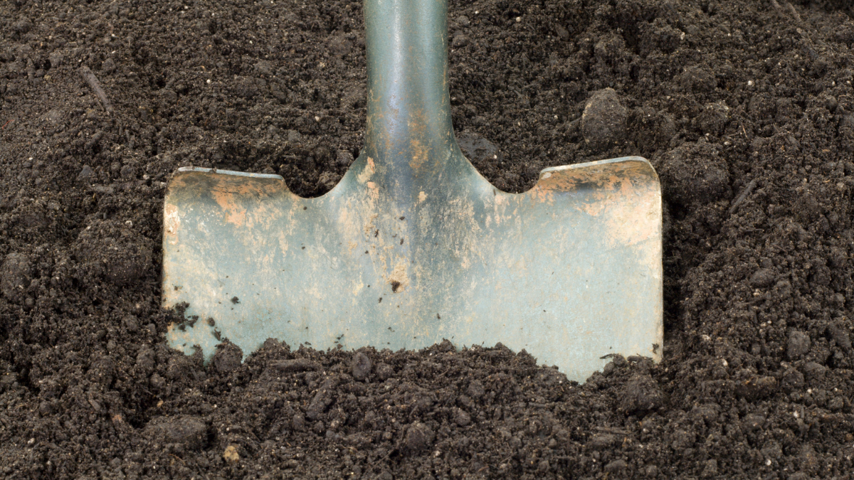 Sewer cross bores: call before clearing a sewer line 
