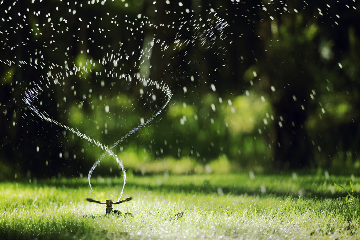 Summer watering restrictions now in place 