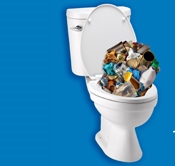 Know what not to flush: test your knowledge, and enter to win! 