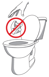 do not flush wipes of any kind