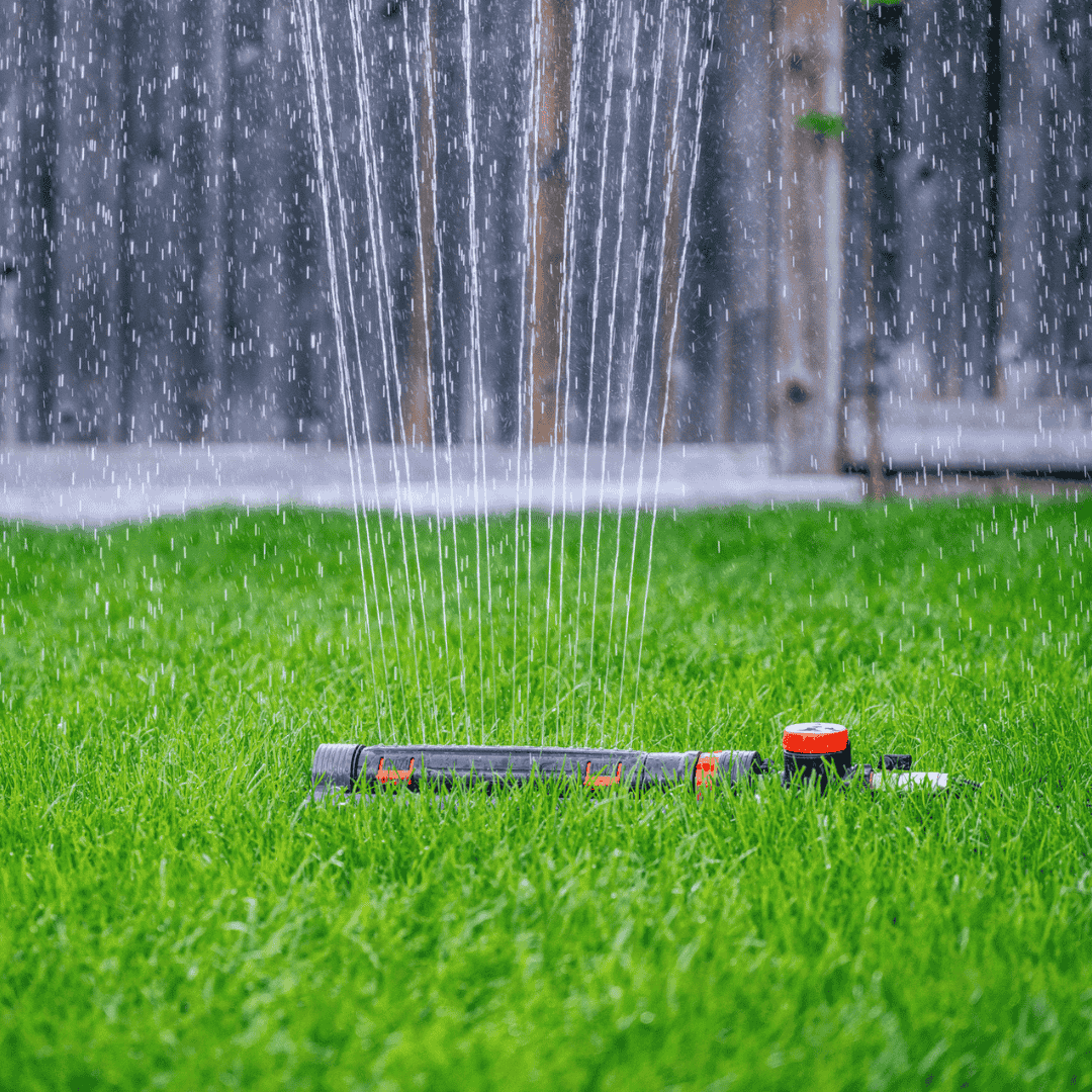 Summer watering restrictions now in place 