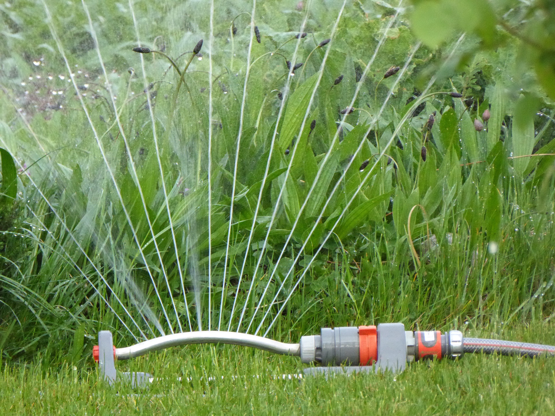 Watering restrictions start June 15  