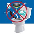 Be flush-savvy! Toilets are not garbage cans.